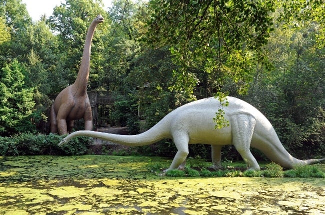 The diplodocus is a member of the sauropod family, which are known for their disproportionately long necks. (Photo: Getty Images/Gallo Images)