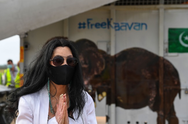 Cher gestures in front of the crate of Kaavan the 