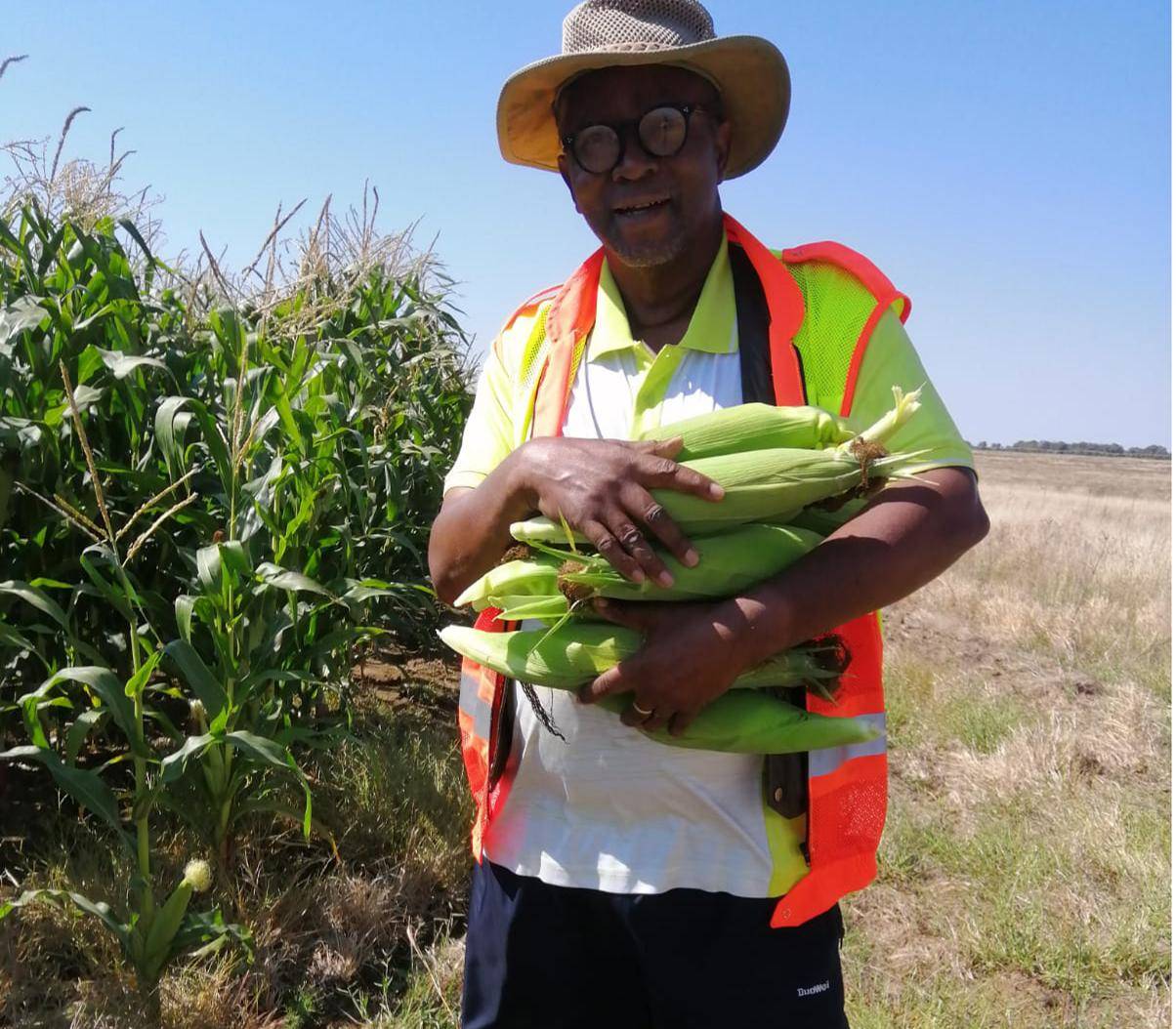 Journalist-turned-farmer Rapitse Montsho turns typically poor hillside plots into verdant paradise in which mealie fields and vegetables are a source of food 