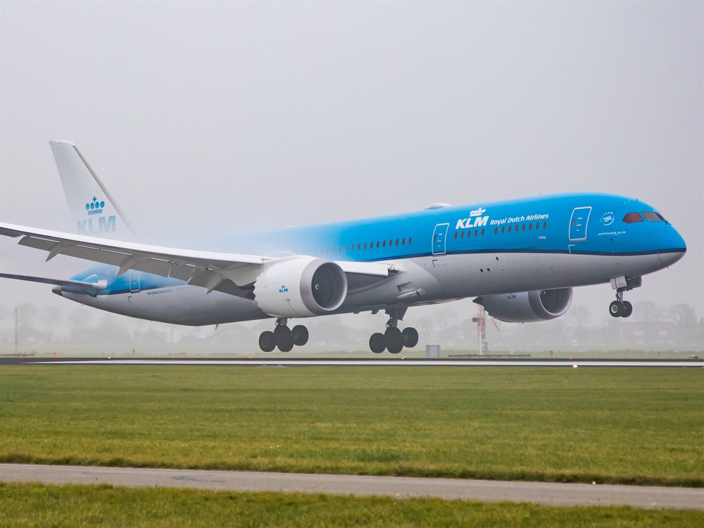 A KLM Royal Dutch Airlines Boeing 787-9 Dreamliner. (Nicolas Economou/NurPhoto/Getty) 