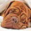 5 things that can cause wrinkles
