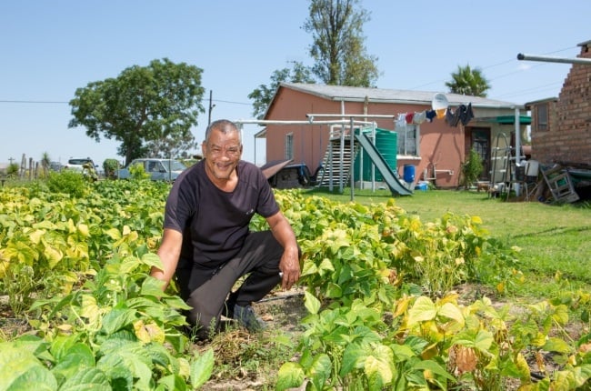A proud Nick Jafta shows off his bountiful vegetable garden. (PHOTO: Misha Jordaan)