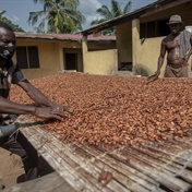 Chocolate war leaves world’s top cocoa producer stuck with beans