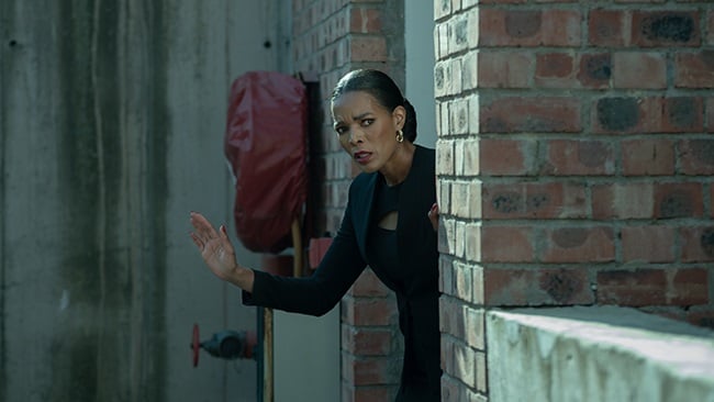 Connie Ferguson as Molebogeng Kwena in Heart of th