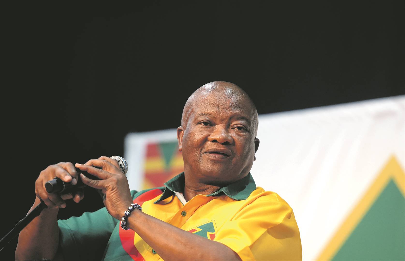 UDM leader Bantu Holomisa says his party will mobilise resources to deal with crime in the country 