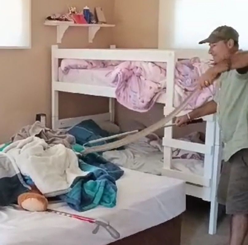 News24 | WATCH | Sunday sssnooze: Cape Cobra takes a nap under Gqeberha couple's bed