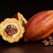 Ivory Coast cacao traders want bigger share of local market