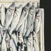 Rotten fish stench in Rosebank linked to broken sabs fridges, waste service delays
