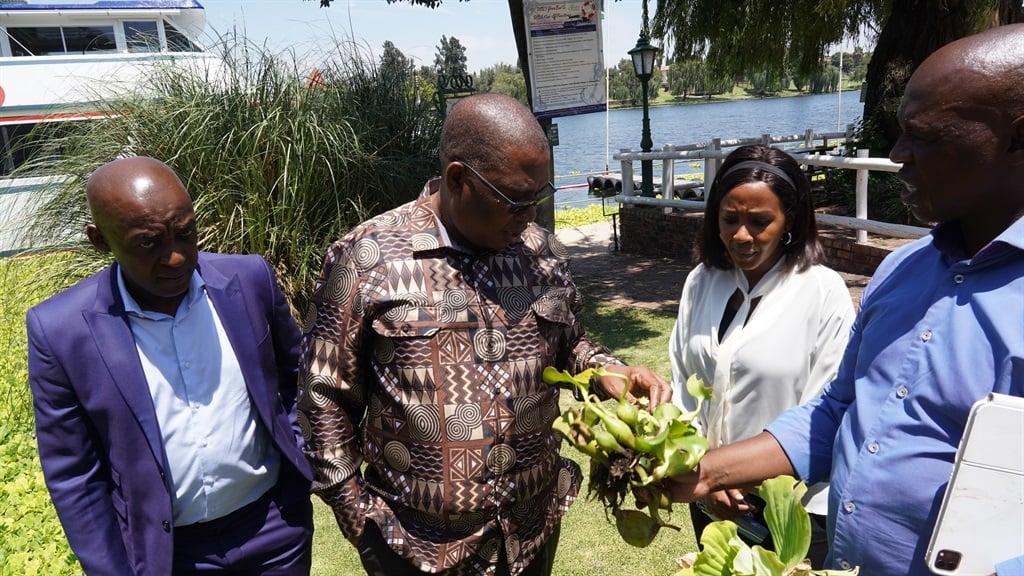 News24 | Rand Water releases bugs into Vaal River to kill invasive plants 