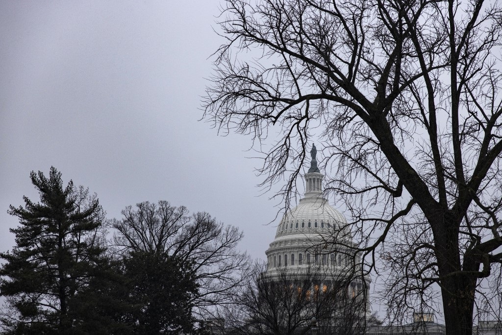 The US Capitol dome is seen through light snow and fog in Washington, DC.