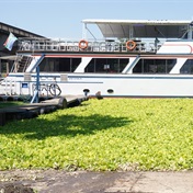 WATCH | Water hyacinth is bad but so is putting chemicals into Vaal River - environmental activists