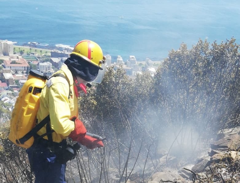 Petugas pemadam kebakaran memadamkan api di Signal Hill, kota mengatakan ‘tidak perlu khawatir’