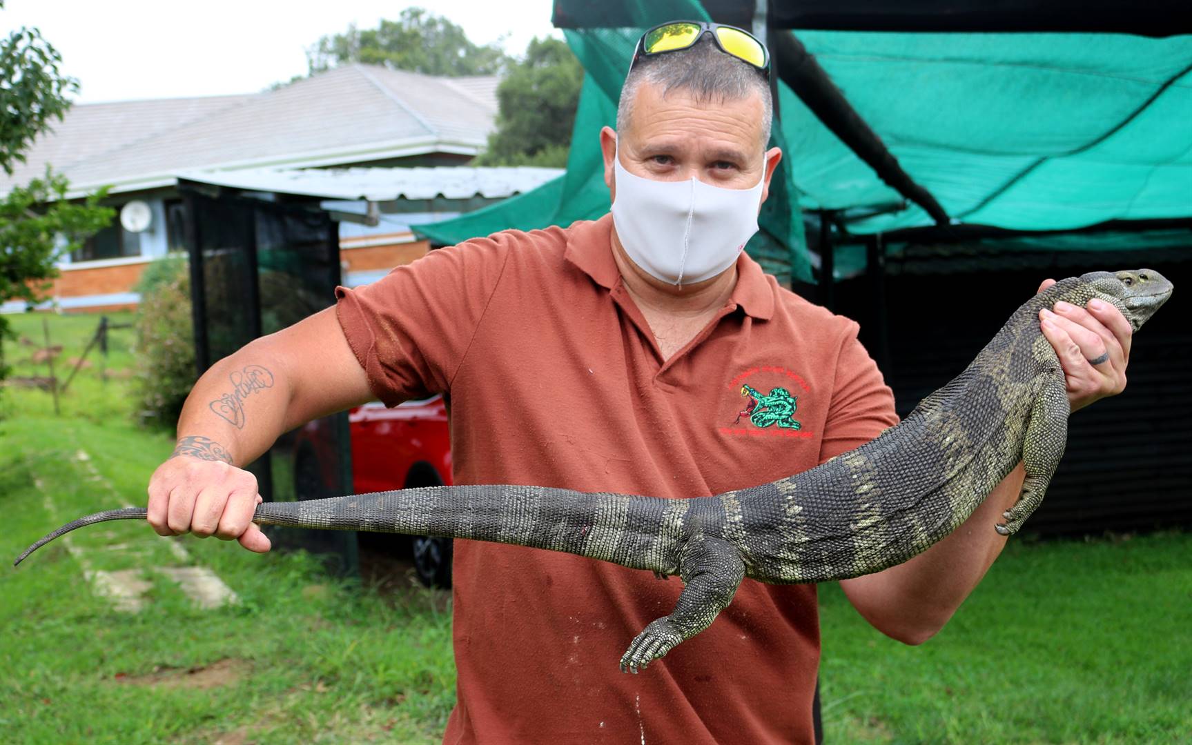 Fanie Cilliers with the huge Rock Monitor lizard that was found wandering in a Ladysmith resident's backyard.