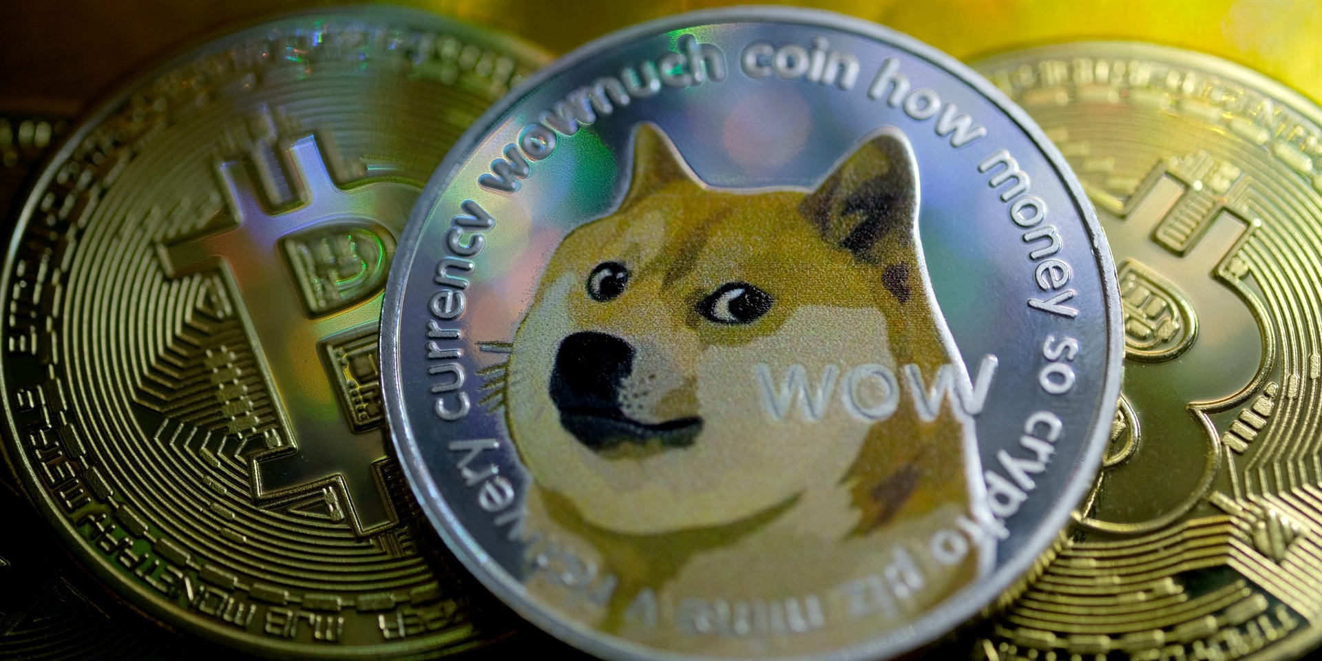 The world's biggest holder of Dogecoin owns 28% of the ...