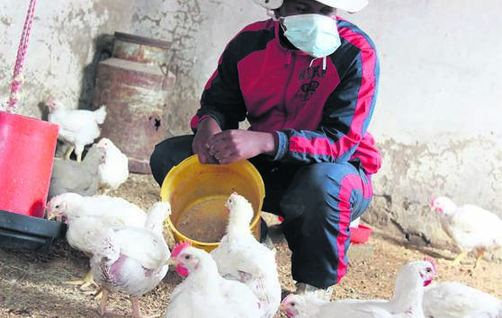 Mpho Moteka thought of quitting after the heavy rain destroyed his business last week.