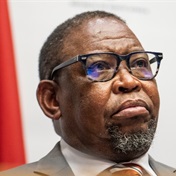 Budget 2024 | Godongwana may pull a rabbit out of a hat - but not everyone will like it 