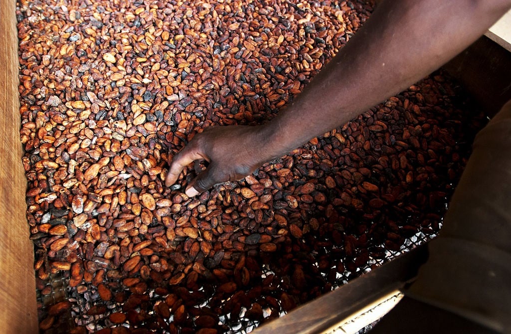 Di ‘pulau cokelat’ Afrika, produsen kakao membidik pasar mewah
