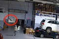 WATCH: THUGS STEAL CARS FROM DEALERSHIP!