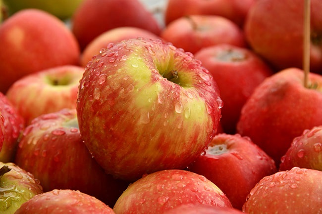 Autumn’s bounty: A celebration of seasonal apples
