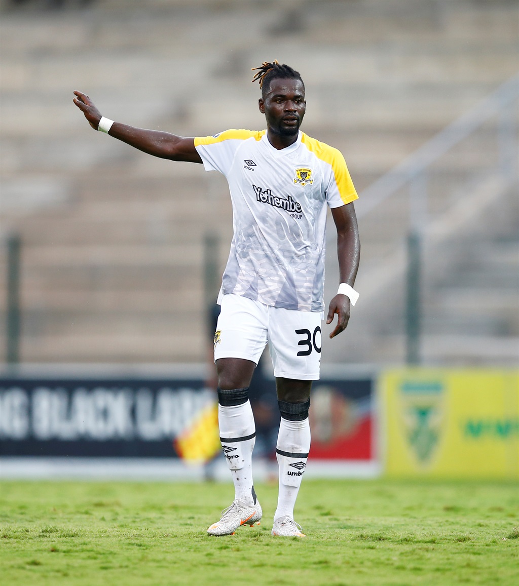 LEOPARDS MAUL ARROWS Dailysun
