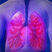 Why do lungs ‘wheeze’? Scientists tried to find out