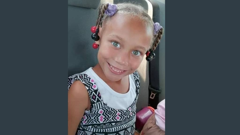 News24 | Missing Joshlin Smith: SAPS says it has not withdrawn from search for 6-year-old