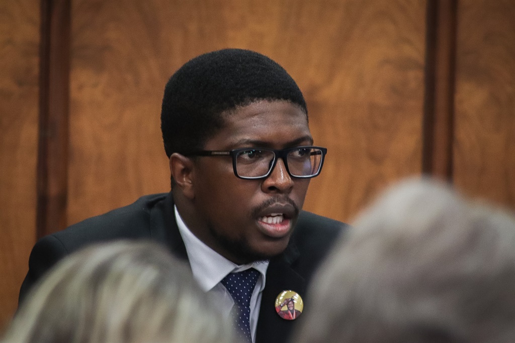 Chairperson of the Standing Committee on Public Accounts, Mkhuleko Hlengwa. 