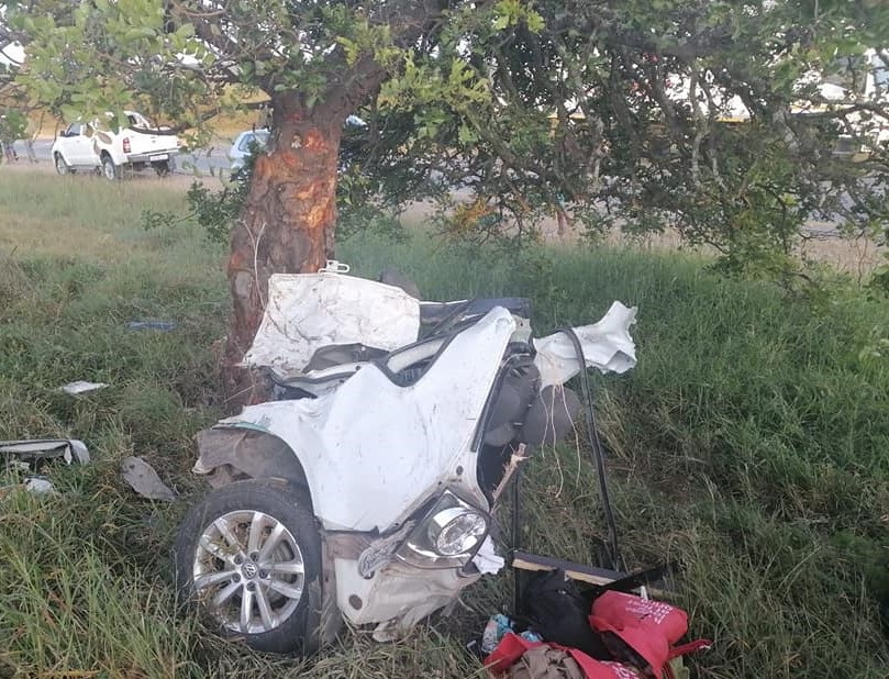 A driver crashed into a tree. Photo: Supplied.