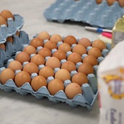 SA's largest egg producer Quantum gets price boost even as bird flu fallout continues