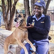 Police pay tribute to sniffer dog killed by python in Limpopo 