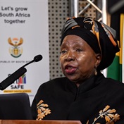 Dlamini-Zuma extends national state of disaster to 15 April
