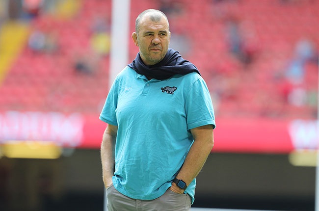Argentina give Cheika debut victory over Scotland - News24