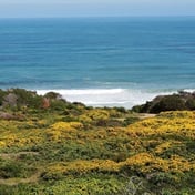 Western Cape farm land to be declared Fynbosstrand Nature Reserve
