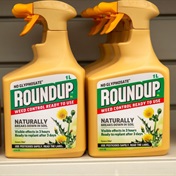 Monsanto purchaser Bayer not seeking Supreme Court appeal of ruling that Roundup herbicide caused cancer