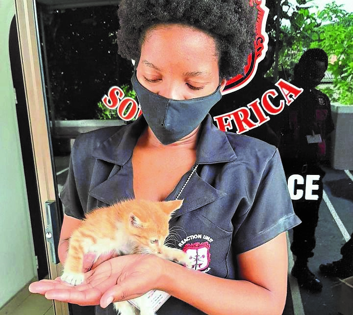 Rusa administrator Londiwe Ndlovu with the kitten rescued from being crushed.