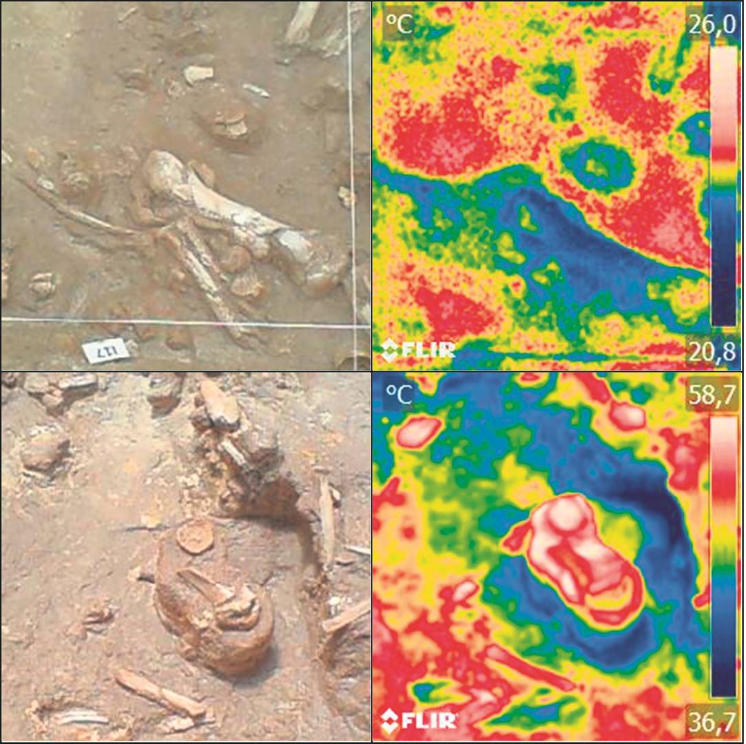 Images of fossils on pedestals and floors with a standard camera (left) and a thermal camera (right) in the morning (top) and at noon (bottom).