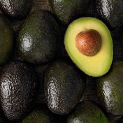 'Green gold': Why thousands of tons of avos have been stolen in SA