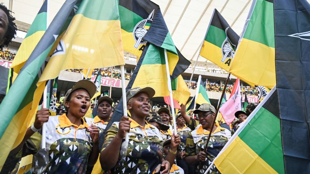 ANC is leading the way in own-goal scoring this election, writes the author. (Darren Stewart/Gallo Images)