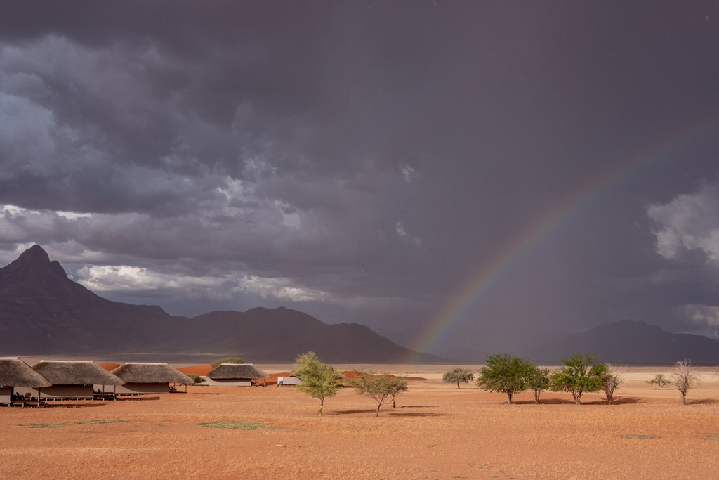 Unusual desert rains brought with it spectacular l