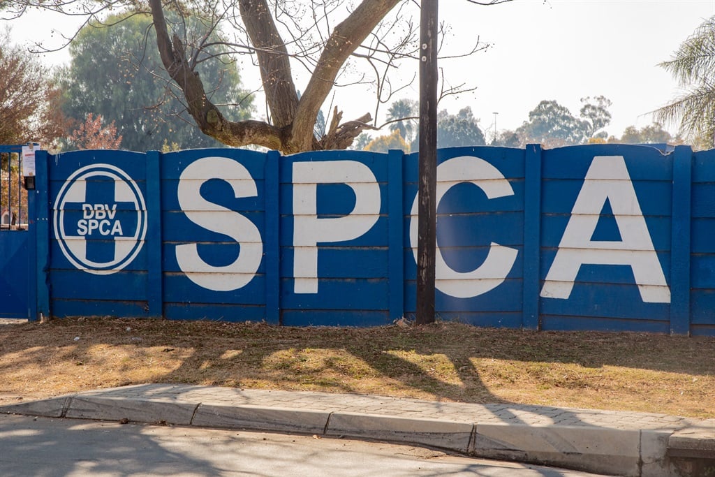 SPCA menerima penghargaan global beberapa minggu sebelum ulang tahunnya yang ke 150