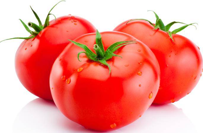The crisis is over – tomato lovers can look forward tolower prices