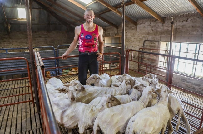 He started doing it for pocket money, now he’s South Africa’s sheep-shearing king