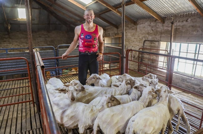 Tienie du Plessis sheared these 15 lambs within half an hour. (PHOTO: Onkgopotse Koloti) 