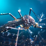 Malaria control needs longer lasting repellents. We’re a step closer to finding one