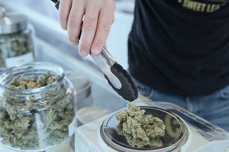 The legal sales of marijuana have jumped to billio