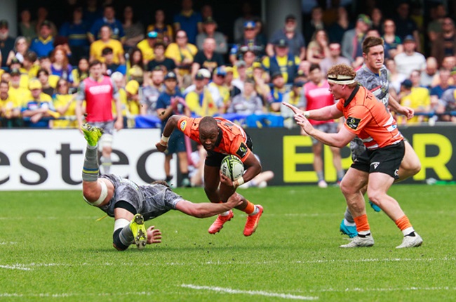 Sport | Cheetahs' fightback comes just too late as Challenge Cup run ends up being missed opportunity