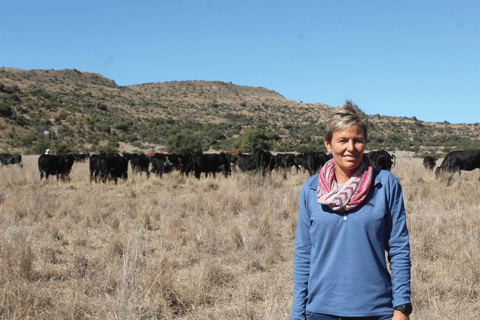 Dr. Liesel Foster in die veld met van haar koeie op die agtergrond. Haar navorsing vir haar doktorsgraad was oor die invloed van verskillende vlakke van lekaanvullings op die produksie en winsgewendheid van ’n beeskudde.