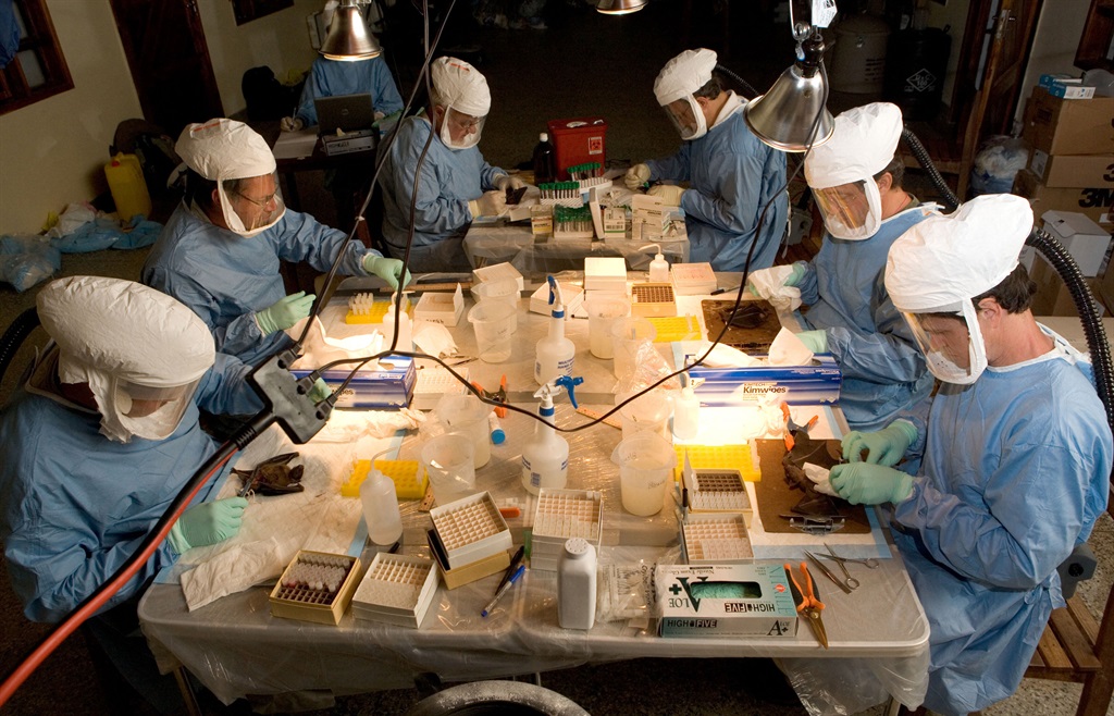 This handout picture from the World Health Organisation shows scientists taking blood and organ samples to look for Marburg virus antibodies in bats on 15 August, 2007.