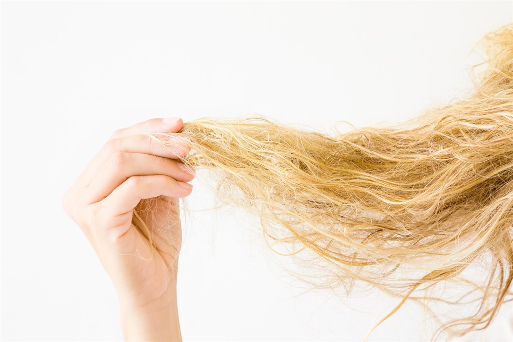 Unpainted female hair roots. Gray hair. The concep
