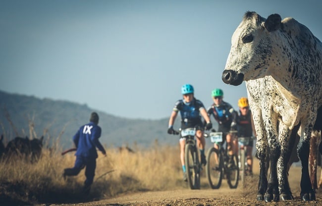 An image that captures the spirit of Berg & Bush stage race mountain biking (Emma Gatland)